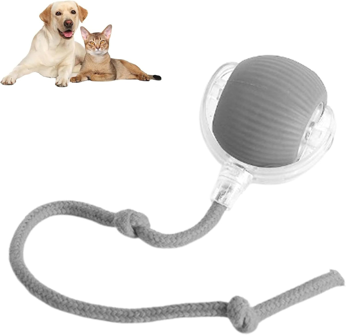 Interactive Smart Rolling Pet Ball