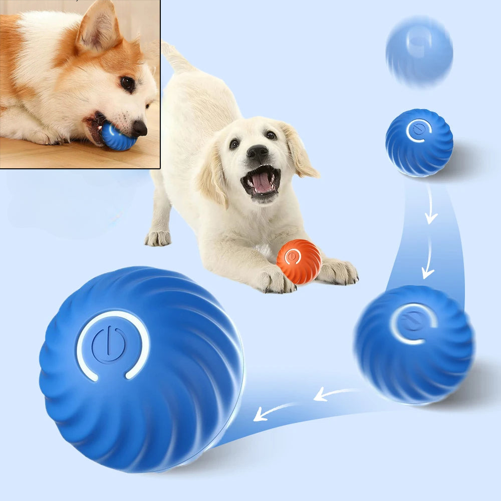 Smart Interactive Dog Toy Ball — Self-Moving & Auto-Rolling
