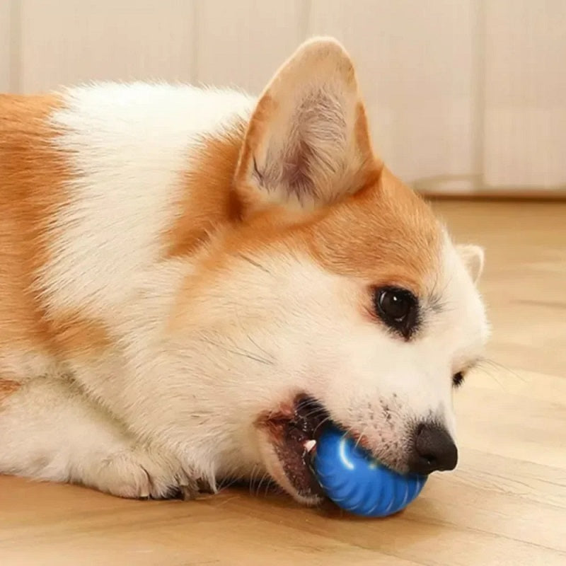 Smart Interactive Dog Toy Ball — Self-Moving & Auto-Rolling