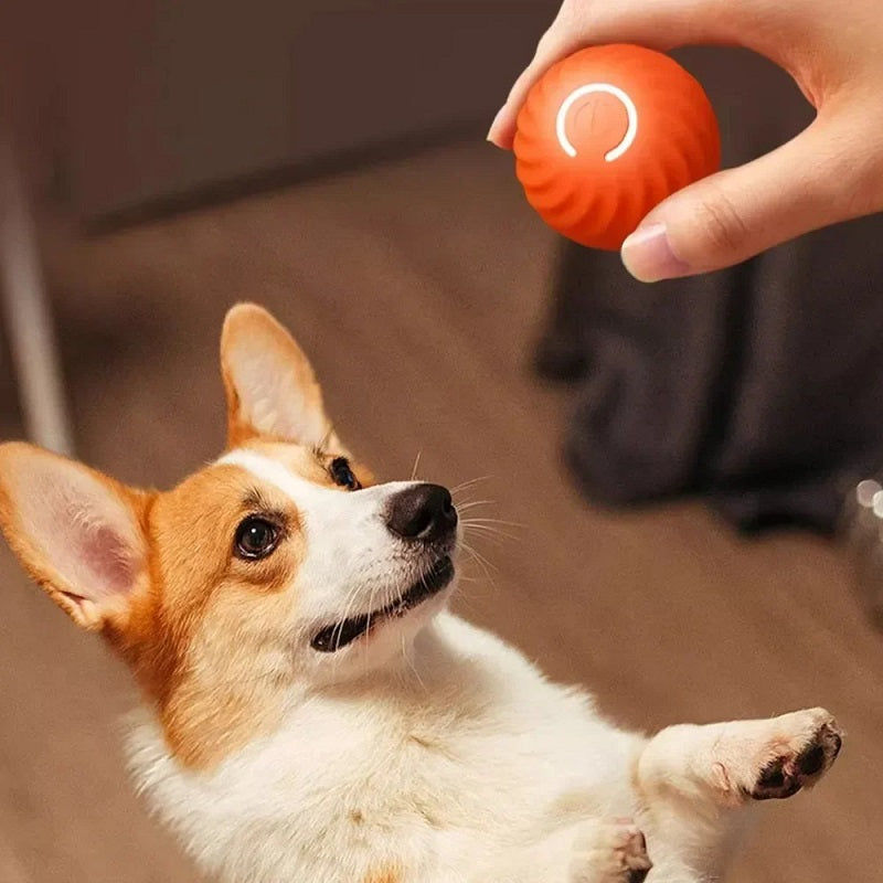 Smart Interactive Dog Toy Ball — Self-Moving & Auto-Rolling