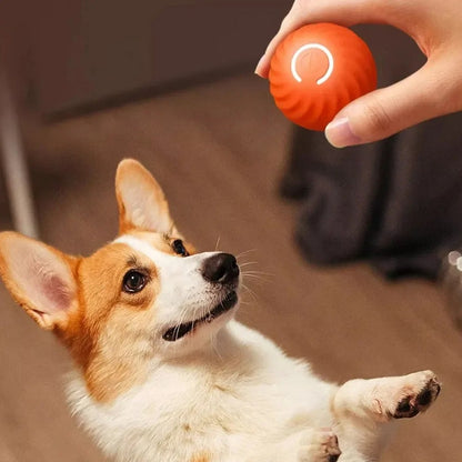 Smart Interactive Dog Toy Ball — Self-Moving & Auto-Rolling