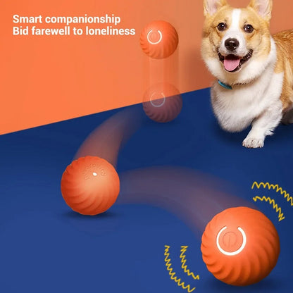 Smart Interactive Dog Toy Ball — Self-Moving & Auto-Rolling