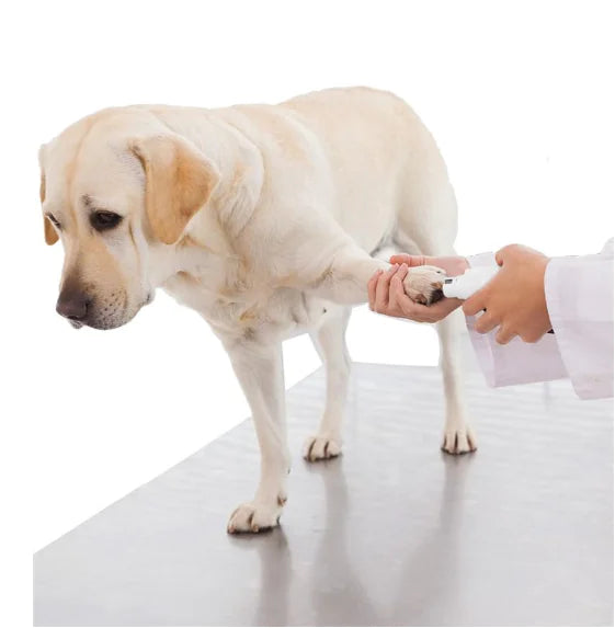 Electric Nail Grinder for Cats and Dogs | Rechargeable