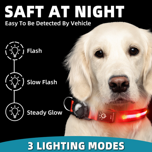 LED Dog Collar — Rechargeable, Waterproof & Super Bright Night Safety Collar