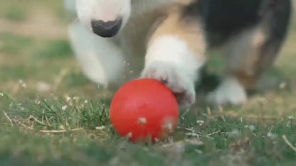 Smart Interactive Dog Toy Ball — Self-Moving & Auto-Rolling